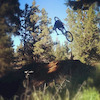 Dru-Brownrigg avatar