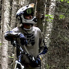 zjones1100 avatar