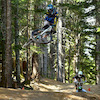 dhshred avatar