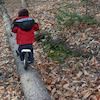 bikingsometimes avatar