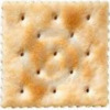 saltine avatar