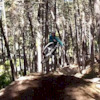 Transitionrider9 avatar