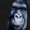 stokedcheech420 avatar