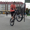 tadex avatar