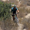 Morton86 avatar