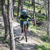 Pinkbike profile picture for @albino