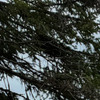 Pinkbike profile picture for @Aboard