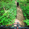 Pinkbike profile picture for @warwick