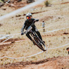 samgraham724 avatar