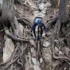Pinkbike profile picture for @professed