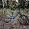 JordieTheJekyll04 avatar