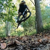 Codyp4130 avatar