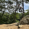 slowdude40 avatar