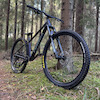 aarne10 avatar