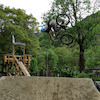 urimtb25 avatar