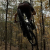 kestrel avatar