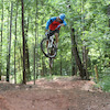georgiadirt avatar