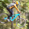 mlshredder avatar
