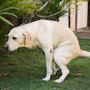 camjoye191 avatar