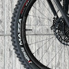 chainlinecycle avatar