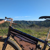 Pinkbike profile picture for @ectopic