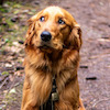 Pinkbike profile picture for @Lollipops