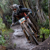 jakecox67 avatar