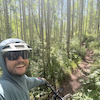 jimmiebrandan avatar