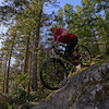 onecutmedia avatar