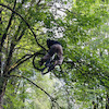 Ilikebikesthe3rd avatar