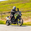 WilliamTM avatar