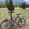 ridebikeslivelifemtb