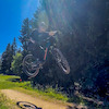 steinbockrider avatar
