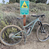 Timplowboy avatar