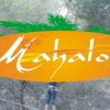 mahaloxports avatar