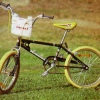 Pinkbike profile picture for @twink