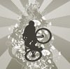 pedalhead666 avatar