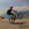 treevsbike avatar