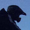 kubadragfr avatar