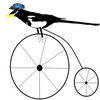 Bike-Magpie avatar