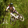Bikerlewis1527 avatar