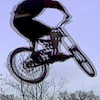 dorchesterbiketrail avatar