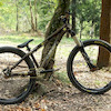 aranho21 avatar