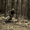 Gapstar avatar