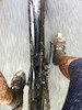 Pinkbike profile picture for @catcher