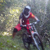 MSProductions avatar
