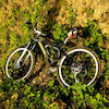 Pinkbike profile picture for @momon