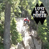 LostInTheNorth avatar