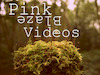 PinkBlazeVideos avatar