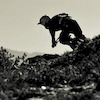 Pinkbike profile picture for @trainer